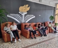 Imagini din colegiu_24